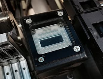 Digital camera